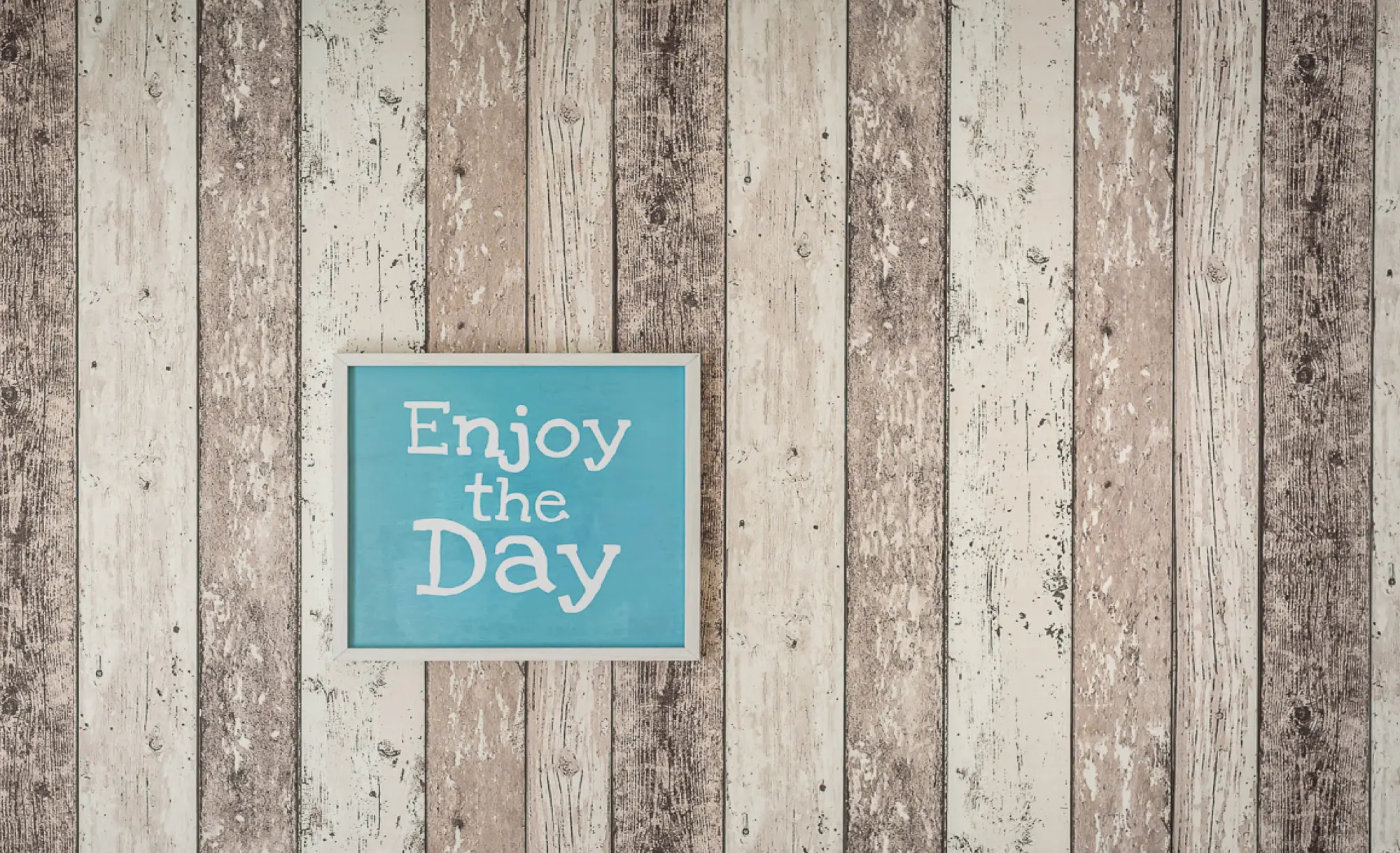 Bild aus unseren Appartements